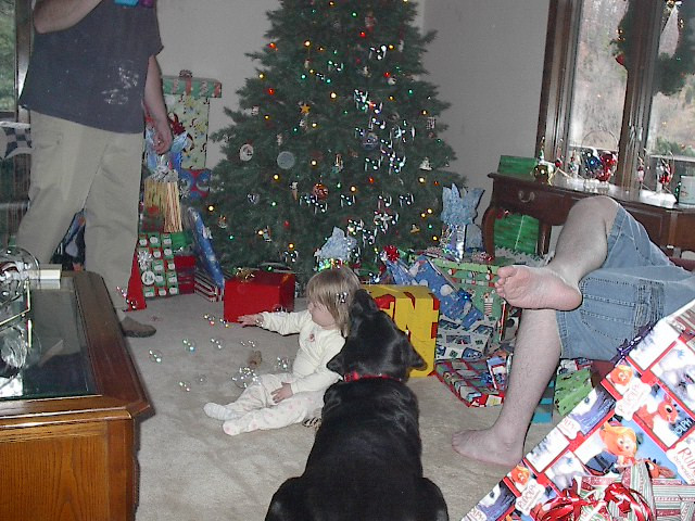 chloe_2yo_christmas_IM005978.jpg