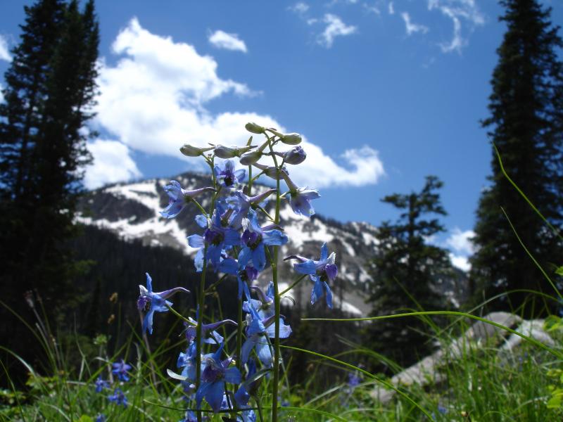 Chris's Colorado Pics 06 036.jpg