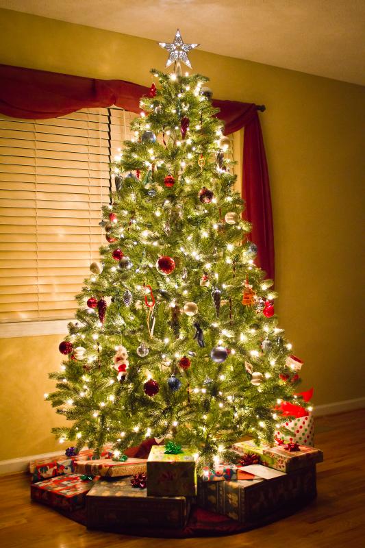 Christmas Tree.jpg