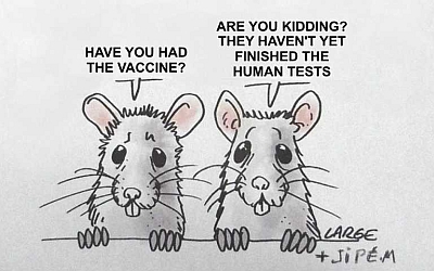 covid Mice-discuss-human-trials.jpg
