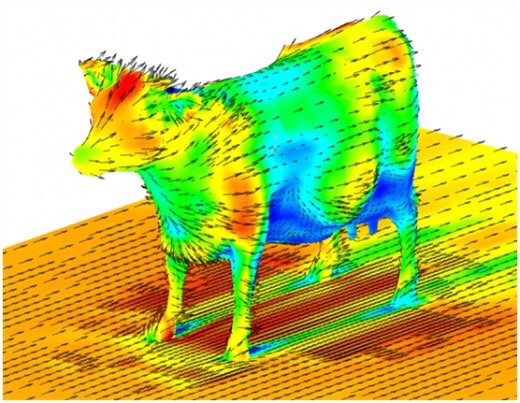 cow air flow.jpg