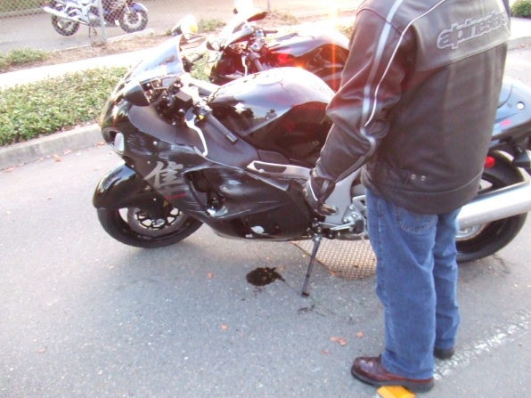 crash_busa_18__2_.jpg