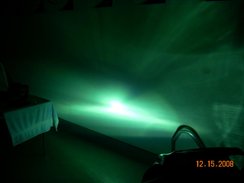 Daisy and Duke and HID 012.jpg