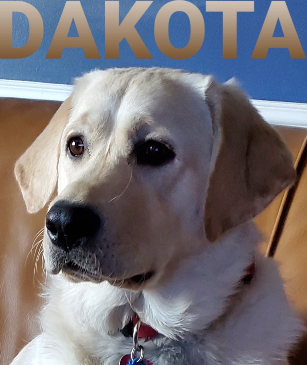 Dakota Mugshot.jpg