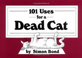 dead cat.jpg