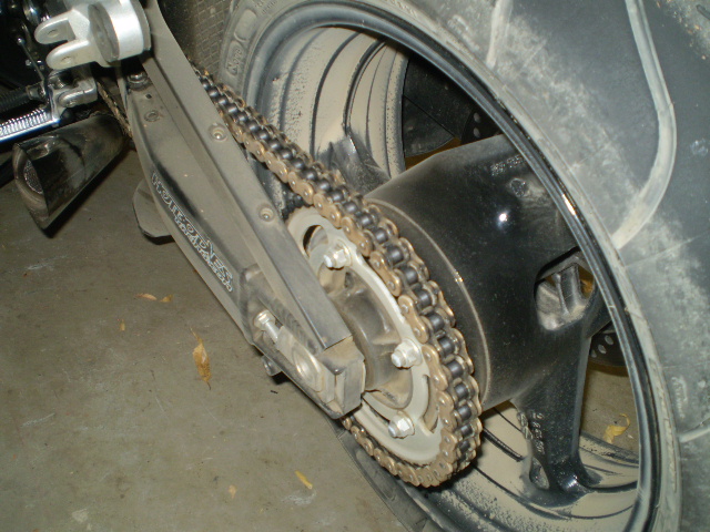 DIRT BUSA 003.JPG