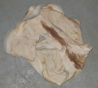 dirty-undies.jpg