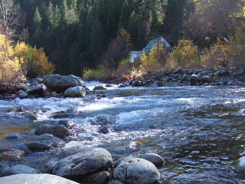 Downieville 08 011.jpg