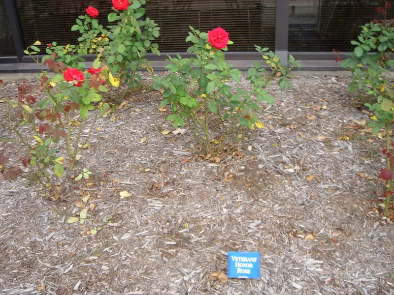 DSC03177.jpg