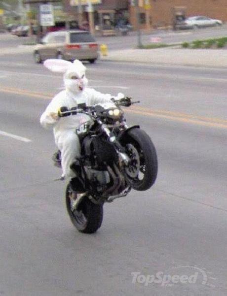 easter-bunny wheelie.jpg