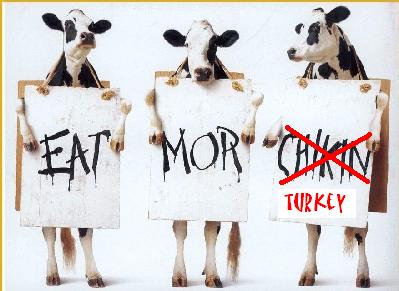 eat more chicken original - turkey.JPG