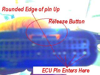 ECU Plug.JPG