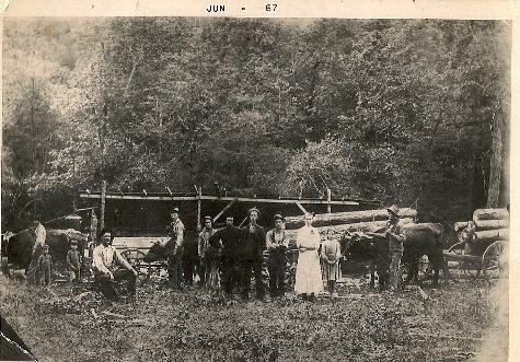 Ethel's family sawmill0005.jpg