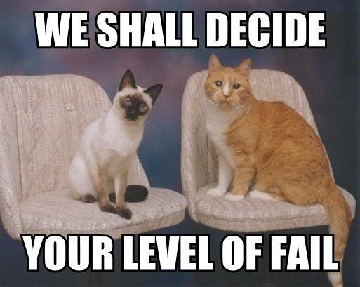 FAIL-Cats-We-shall-decide.jpg