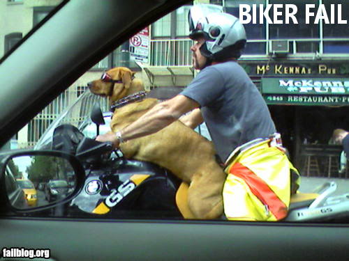 fail-owned-biker-fail1.jpg