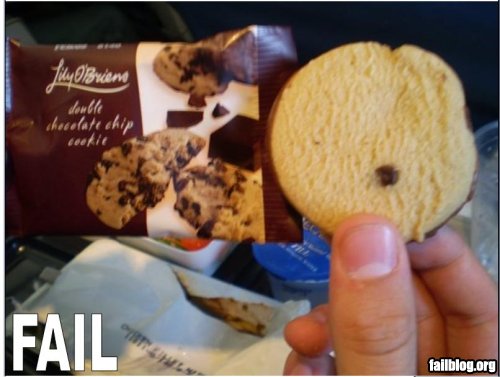 fail_owned_chocolate_chip_fail.jpg