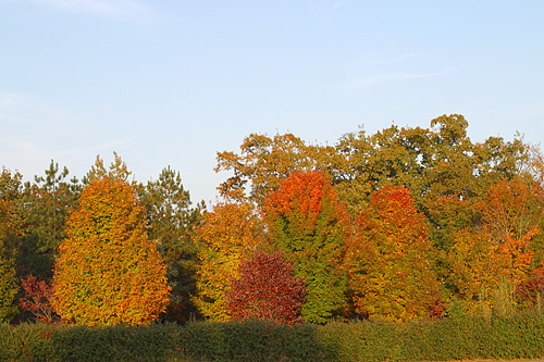 fall_002.jpg