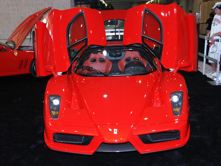 Ferrari_Enzo07_copy.jpg