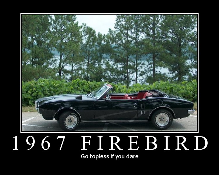 firebird2.jpg