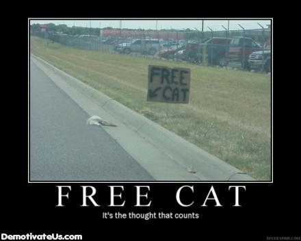 free-cat-demotivational-poster.jpg