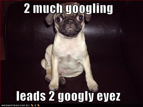 funny-dog-pictures-googly-eyes-googling-google.jpg