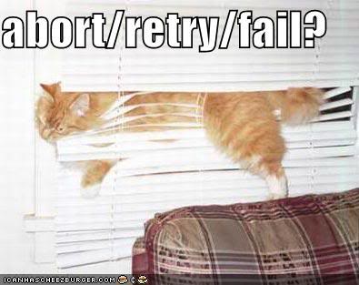 funny-pictures-cat-blinds-abort-ret.jpg