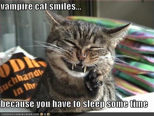 funny-pictures-happy-vampire-cat.jpg