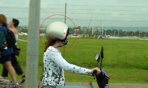 funny_pix_helmet.jpg