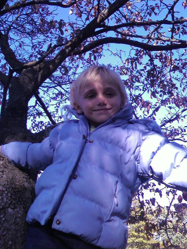 gabby climbing tree.jpg