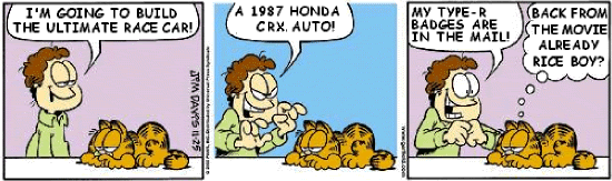 GarfieldCRXRice.gif