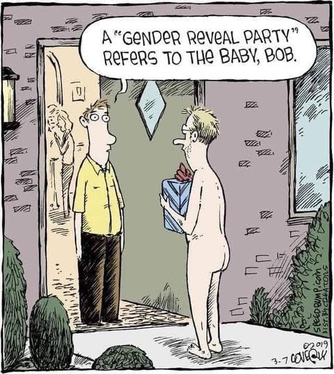 gender party.png