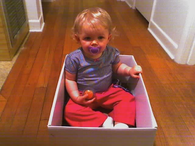 gracie_in_the_box.jpg