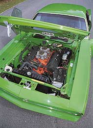 green_hemi_1.jpg