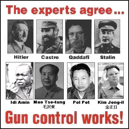 GunControlWorks.jpg