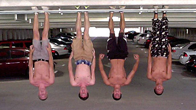 hanging_upside_down.jpg