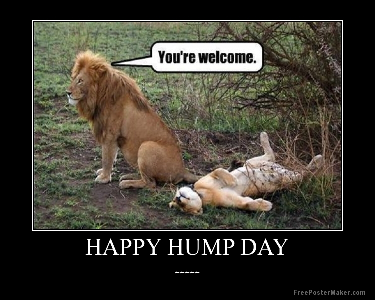 happy-hump-day-0qoinO.jpg