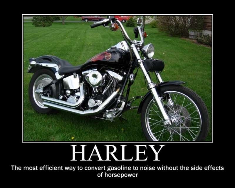 Harley1.jpg