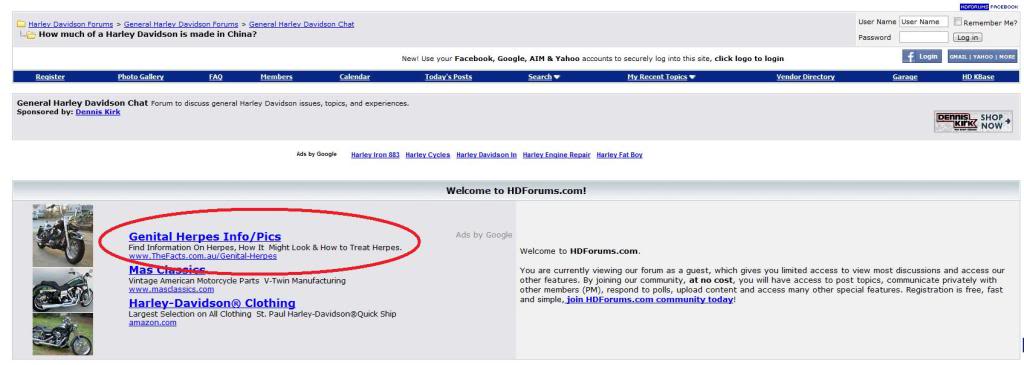 HarleyForums2.jpg