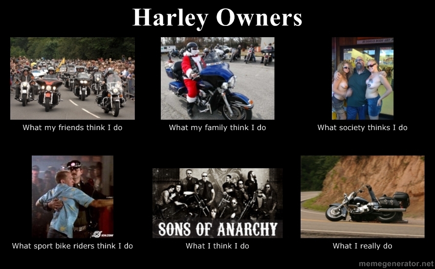 harleywhatIreallydo.jpg