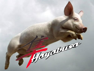 Hayabusa - Flying Pig.jpg