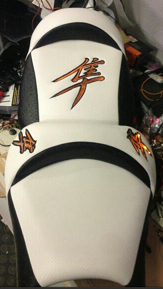 Hayabusa LED seat.jpg