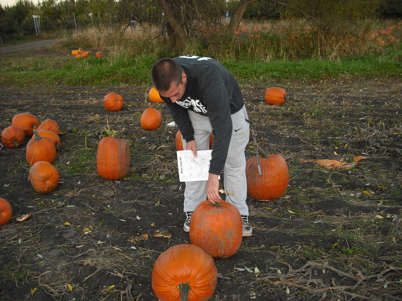 hayabusa pumpkin 002.jpg