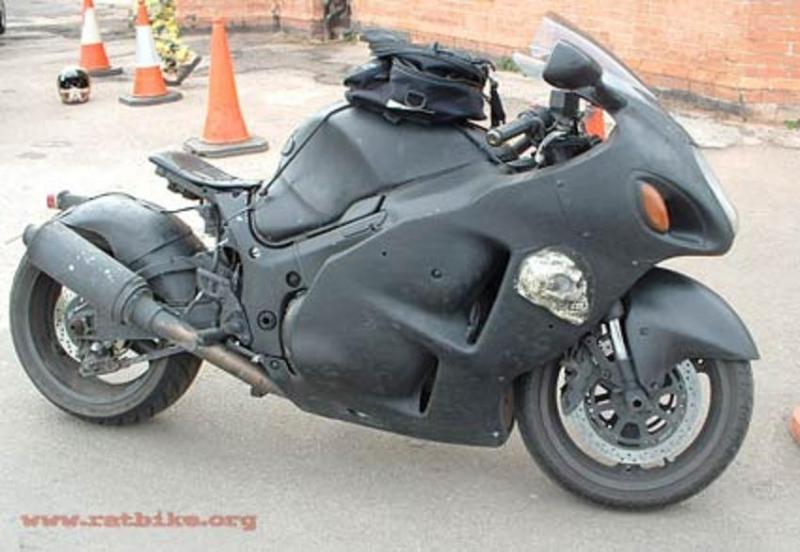 hayabusa rat 2.jpg