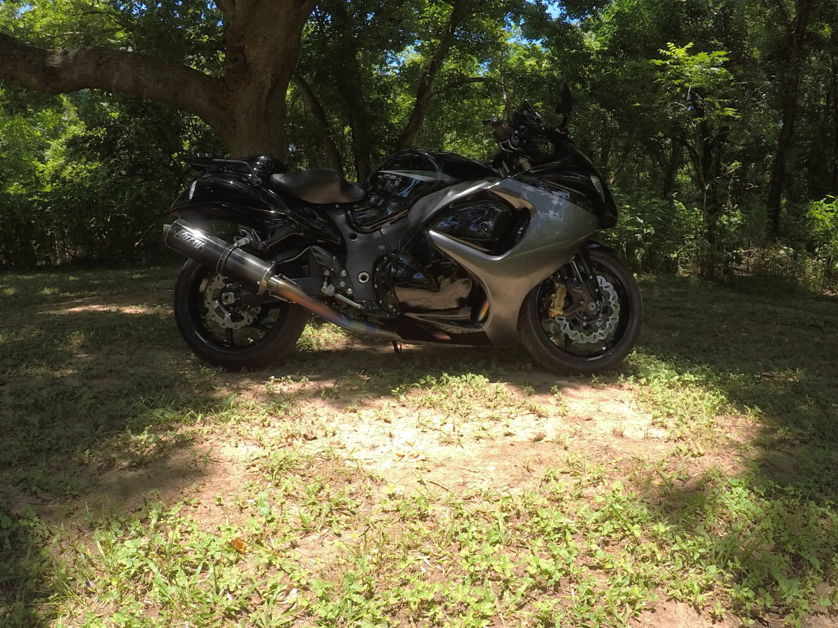 Hayabusa under a tree .JPG