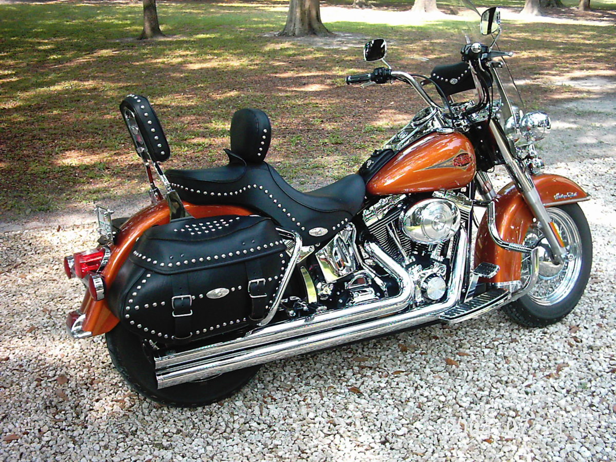 HD Softail 7-2004 (11).jpg