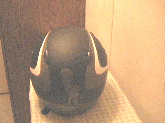 Helmet_back.jpg