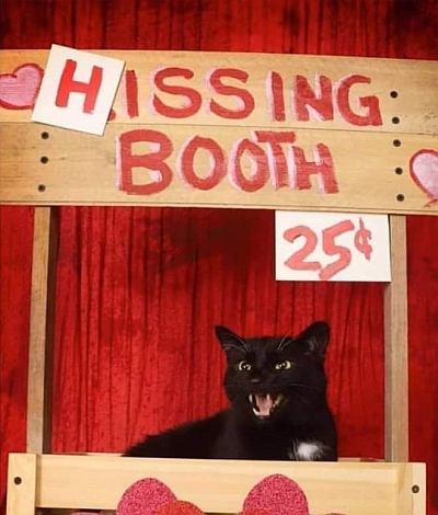 hissing booth.jpg