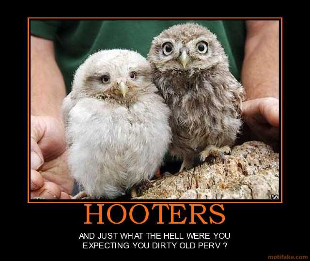 hooters-hooters-owls-demotivational-poster-1285844259.jpg