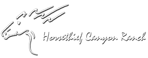 horsethief-canyon-logo.png