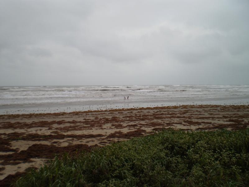 Hurricane Alex 015.jpg